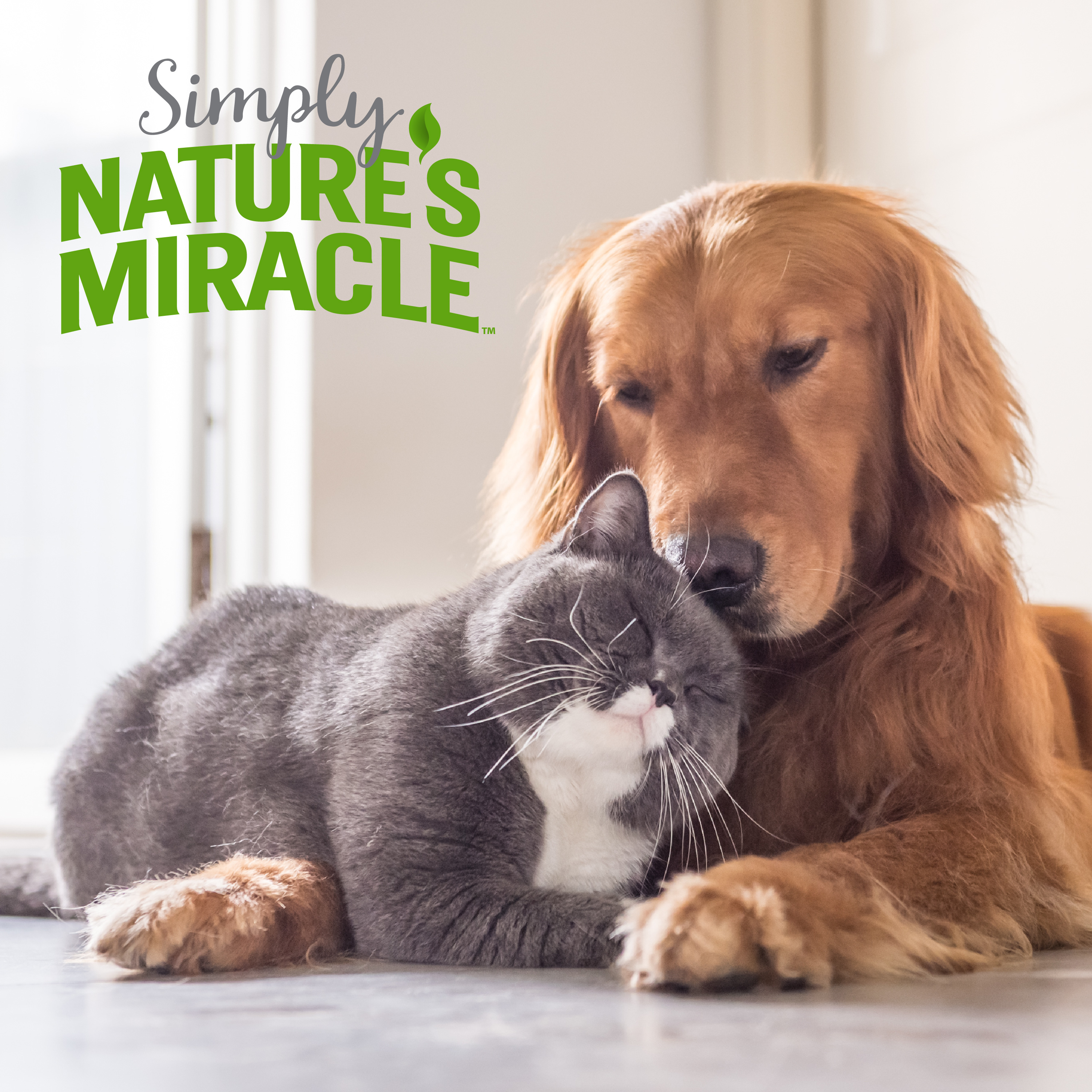 Nature's miracle top reviews dog urine